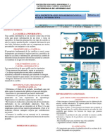 Modulo de Aprendizaje 4°semana 35-2021