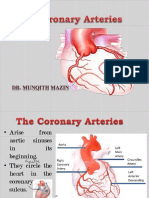 Coronary Arteries