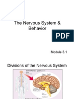 The Nervous System & Behavior