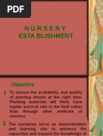 Nursery Establishment For Presentation