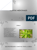 Plantas Medicinales