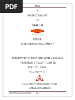 Download Mm Course Project -10005 by Kavita Iyer SN54670311 doc pdf