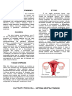 Sistema Genital Feminino: Órgãos e Funções