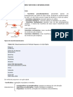 Fibra Nervosa e Sensibilidade