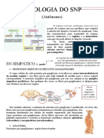 Fisiologia Do SNP