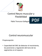 Clase 6 Flexibilidad y control NMusc