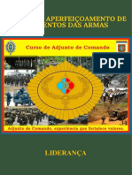 Curso Adj Cmdo 2021 - Lideranca