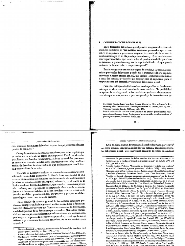 Prisión Preventiva y Medidas Alternativas Gonzalo Del Río Labarthe | PDF