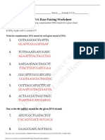 This Study Resource Was: DNA Base Pairing Worksheet