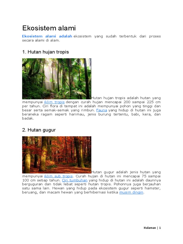 Ekosistem Alami Mugni | PDF | Griya & Taman | Teknologi & Rekayasa