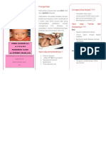 PDF Leaflet Hidrosefalus Compress Dikonversi