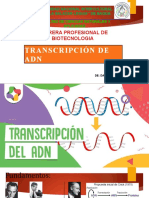 Transcripción de Adn