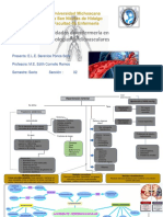 Mapas Conceptuales-Patologias Cardiovasculares