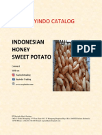 Rayindo Catalog: Indonesian Honey Sweet Potato