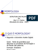 Morfologia 091025165119 Phpapp02