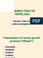 Introduction To Neoplasia