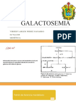 Galactose Mia