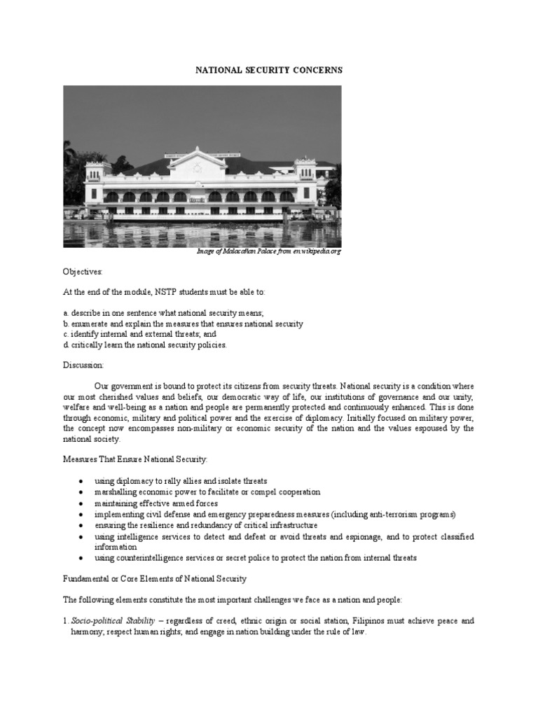 Module 7 National Security Concerns PDF National Security Policy