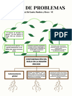 Arbol de Problemas Berrocal Del Cuadro Mendieta y Rivera VC