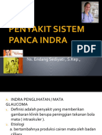 Materi IPPD Sistem Indra Kls XI Keperawatan