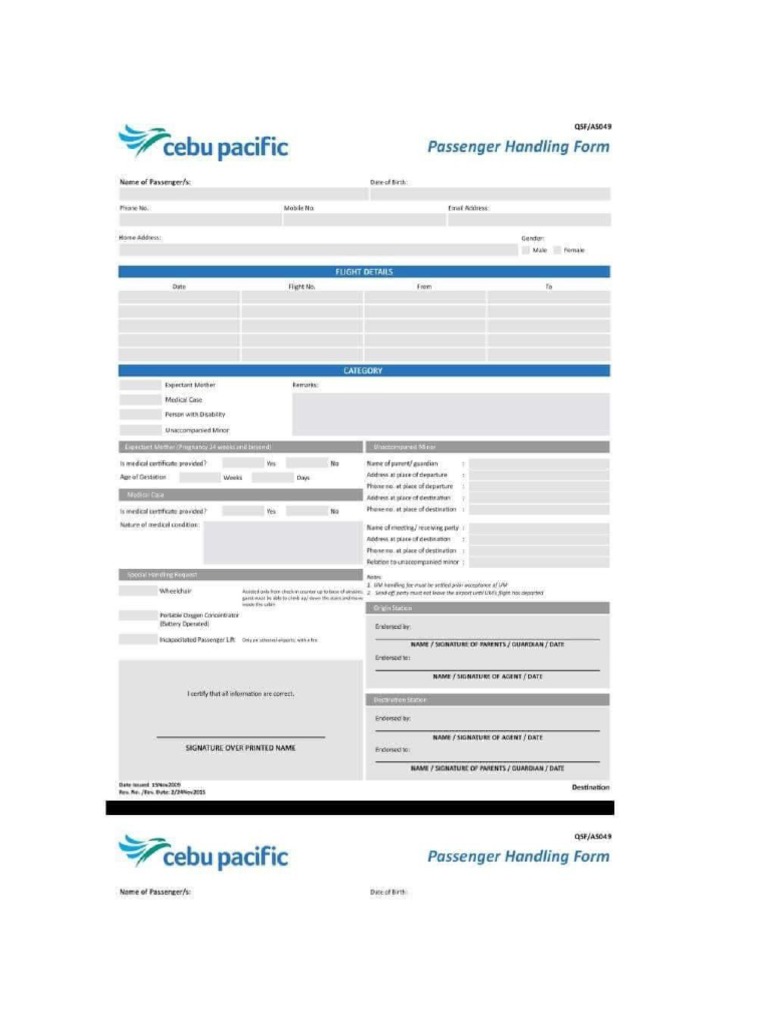 Cebu Pacific Handling Form 1 | PDF