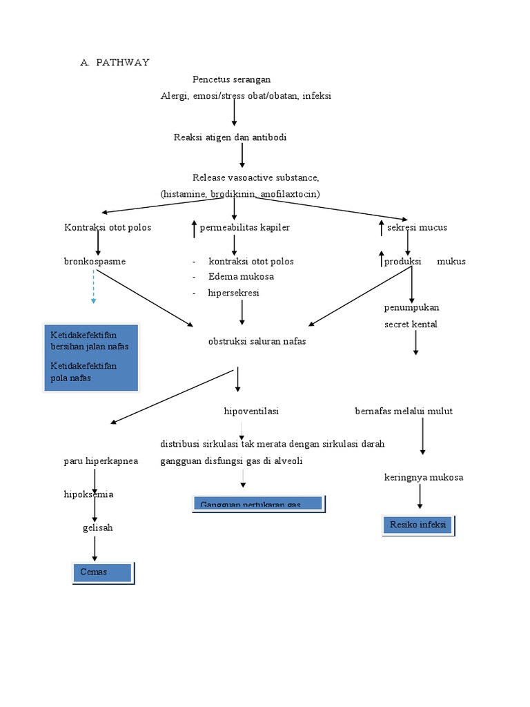 Patway | PDF