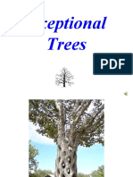 Exeptional Trees:ต้นไม้พิเศษ