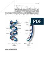 Introduction To Nucleic Acids