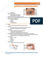 Eye and Ear Anatomy Guide