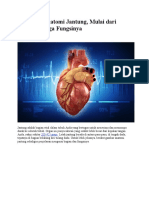 Anatomi dan Fungsi Jantung