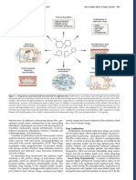 Perazella - 2018 - Pharmacology behind Common Drug Nephrotoxicities-3