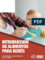 GUIA GENERALI_Introducción Alimentos Bebés