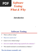 Software Testing What & Why