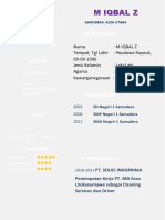 Curriculum Vitae Versi 3