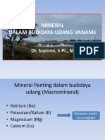 Kebutuhan Mineral Dalam Budidaya Udang