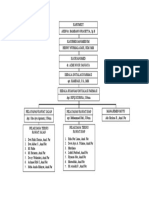Struktur Organisasi Ifrs Rumkit