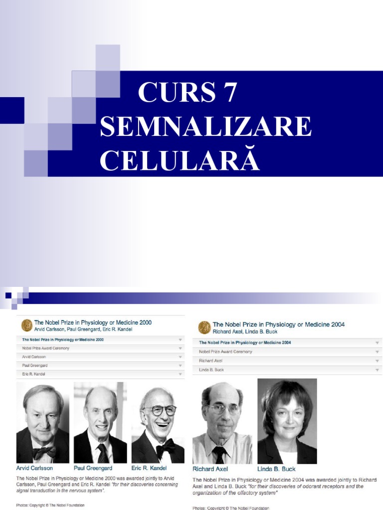 Curs 7 SEMNALIZARE | PDF
