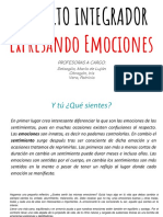 Expresando Emociones