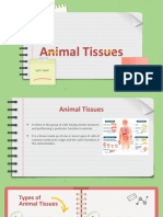 Animal Tissues Group 2