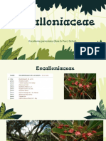 Especies de Escalloniaceae y Euphorbiaceae