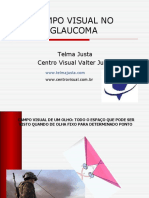 Campo Visual no Glaucoma - Telma Justa