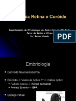 anatomia-retina-e-coroide