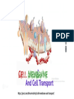 Ciclo 5. Septimo6. Cell Transport