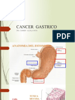 Cancer Gastrico Unior Tema 10