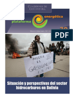 CDC 30 Situacion y Perspectivas Del Sector Hidrocarburos en Bolivia