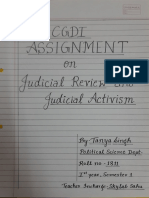 Judicial Review and Ativism