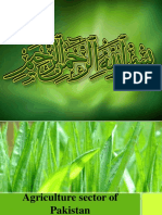 Pakistan Agriculture Sector: Problems and Solutions