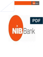 NiB Historical Background and Credit Policies