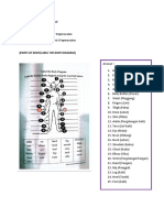 Parts of Body