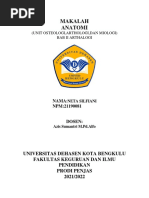 Anatomi dan Struktur Corpus Vertebrae | PDF